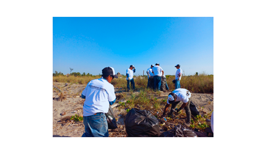 Continuan las operaciones de exportación de azúcar y banano a Estados Unidos a través de Puerto Chiapas